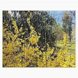 Wonderful colors of nature in spring entourage, 8 Jigsaw Puzzle