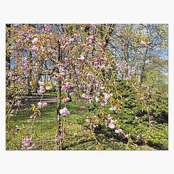 Wonderful Colors of Nature in the Spring Jigsaw Puzzle