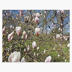 Wonderful colours of nature in spring entourage, 7 Jigsaw Puzzle