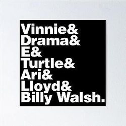 ENTOURAGE Poster