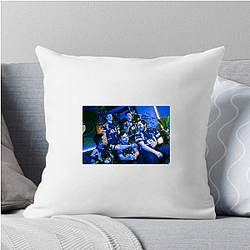 Evil Geniuses has a rich history Evil Geniuses Pillows Cover