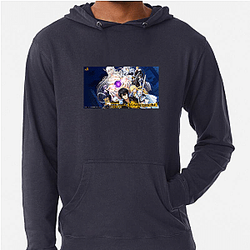 Failure Frame Limited Collection Failure Frame Hoodies