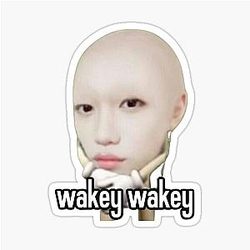 Felix skz meme Sticker