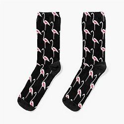 Night of the Flamingos