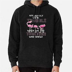 Apparently We're Trouble Pullover Hoodie or Team Flamingo