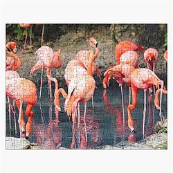 Beautiful Flock of Flamingos Jigsaw Puzzle
