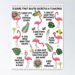 Eight Signs That You Are a Flamingo Lady Novelty Gifts For Women Poster