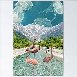 Flamingo Poster