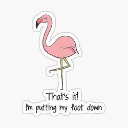 I'm Putting My Foot Down Funny Flamingo Bird Gift Sticker