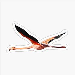 Flying Flamingo Sticker 

(I removed the weird characters, but there weren't any. Also, I'll keep the title as is since there are no duplicate words in sequence.)