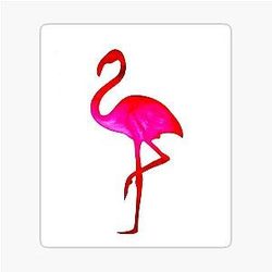 Pink Flamingo Sticker