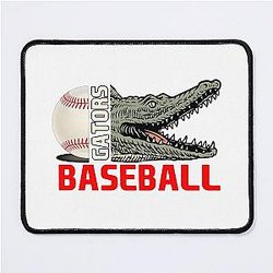 Florida Gators Baseball