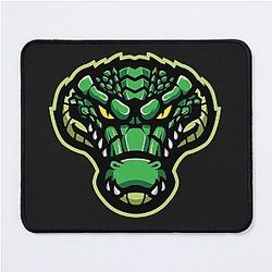 Florida Gators Baseball Mouse Pad