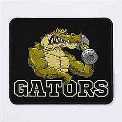 Florida Gators Baseball Mouse Pad
