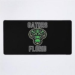 Florida Gators Baseball Desk Mat