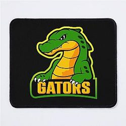 Florida Gators Baseball Pad