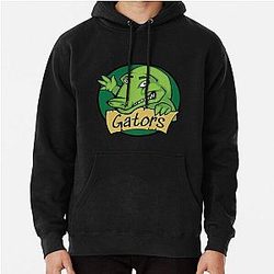 Florida Gators baseball Pullover Hoodie