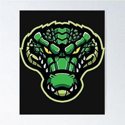 Florida Gators Baseball Poster