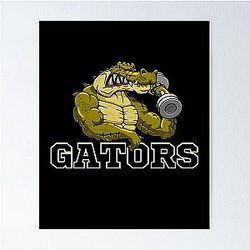 Florida Gators Baseball Poster