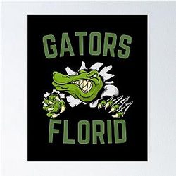 Florida Gators Baseball Poster