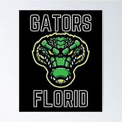 Florida Gators Baseball Poster