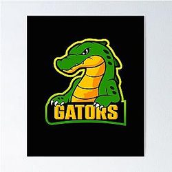 Florida Gators Baseball Fans