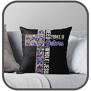 Florida Gators Pillows Cover
