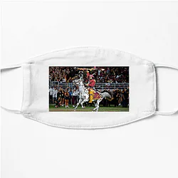 Florida State Seminoles Signature Florida State Seminoles Face Masks