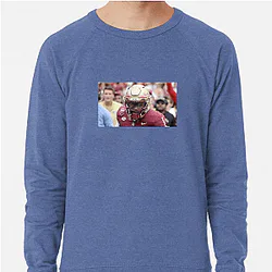 Florida State Seminoles Fan Art Florida State Seminoles Sweatshirts