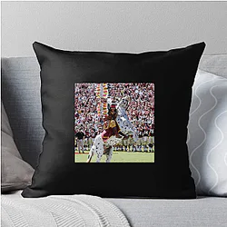Florida State Seminoles Limited Collection Florida State Seminoles Pillows Cover