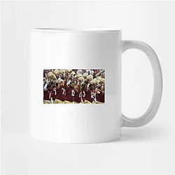 Florida State Seminoles Collection for fans Florida State Seminoles Mugs