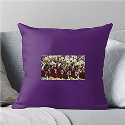 Florida State Seminoles Collection for fans Florida State Seminoles Pillows Cover