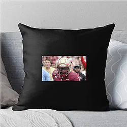 Florida State Seminoles Fan Art Florida State Seminoles Pillows Cover