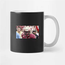 Florida State Seminoles Fan Art Florida State Seminoles Mugs