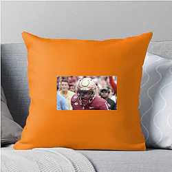 Florida State Seminoles Fan Art Florida State Seminoles Pillows Cover