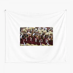 Florida State Seminoles Collection for fans Florida State Seminoles Tapestries