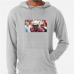 Florida State Seminoles Fan Art Florida State Seminoles Hoodies