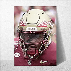 Florida State Seminoles Fan Art Florida State Seminoles Posters