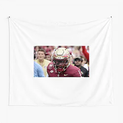 Florida State Seminoles Fan Art Florida State Seminoles Tapestries