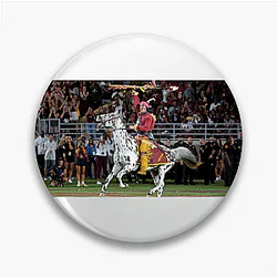 Florida State Seminoles Signature Florida State Seminoles Pins