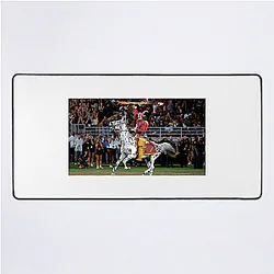 Florida State Seminoles Signature Florida State Seminoles Mouse Pads