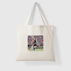 Florida State Seminoles Limited Collection Florida State Seminoles Bags