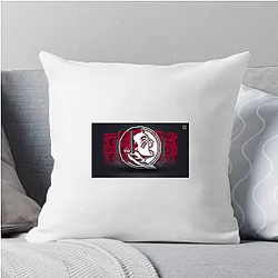 Florida State Seminoles Merchandise Florida State Seminoles Pillows Cover
