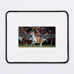 Florida State Seminoles Signature Florida State Seminoles Mouse Pads