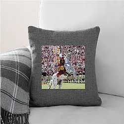Florida State Seminoles Limited Collection Florida State Seminoles Pillows Cover