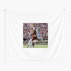 Florida State Seminoles Limited Collection Florida State Seminoles Tapestries