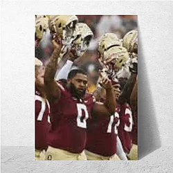 Florida State Seminoles Collection for fans Florida State Seminoles Posters