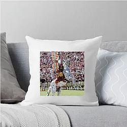 Florida State Seminoles Limited Collection Florida State Seminoles Pillows Cover