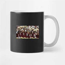 Florida State Seminoles Collection for fans Florida State Seminoles Mugs