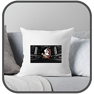 Florida State Seminoles Pillows Cover